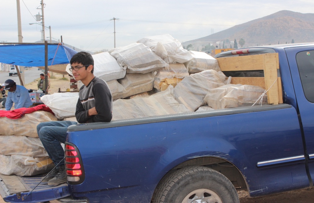 Vacían una troca por día 